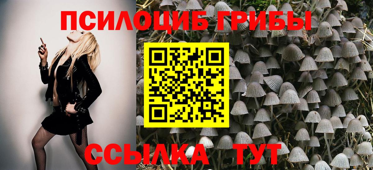 Галлюциногенные грибы прущие грибы Нижнекамск