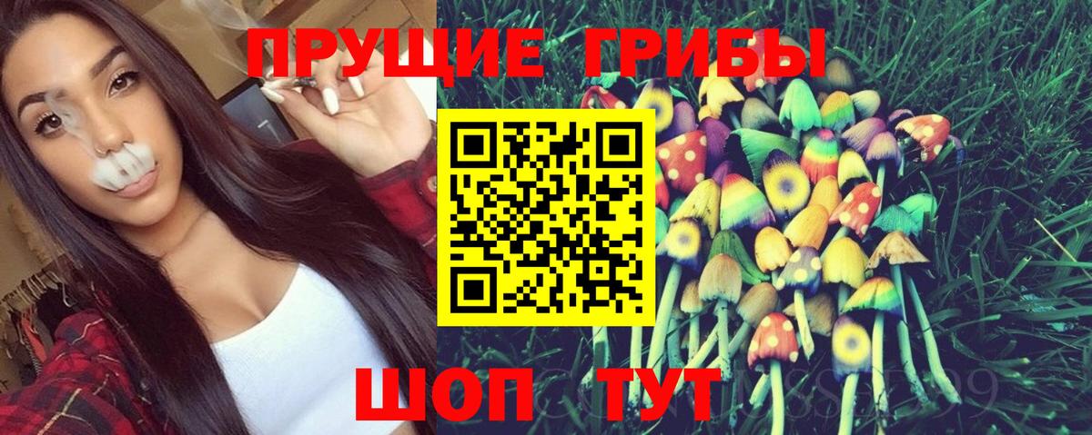 Галлюциногенные грибы MAGIC MUSHROOMS  Вход с VPN  Нижнекамск 
